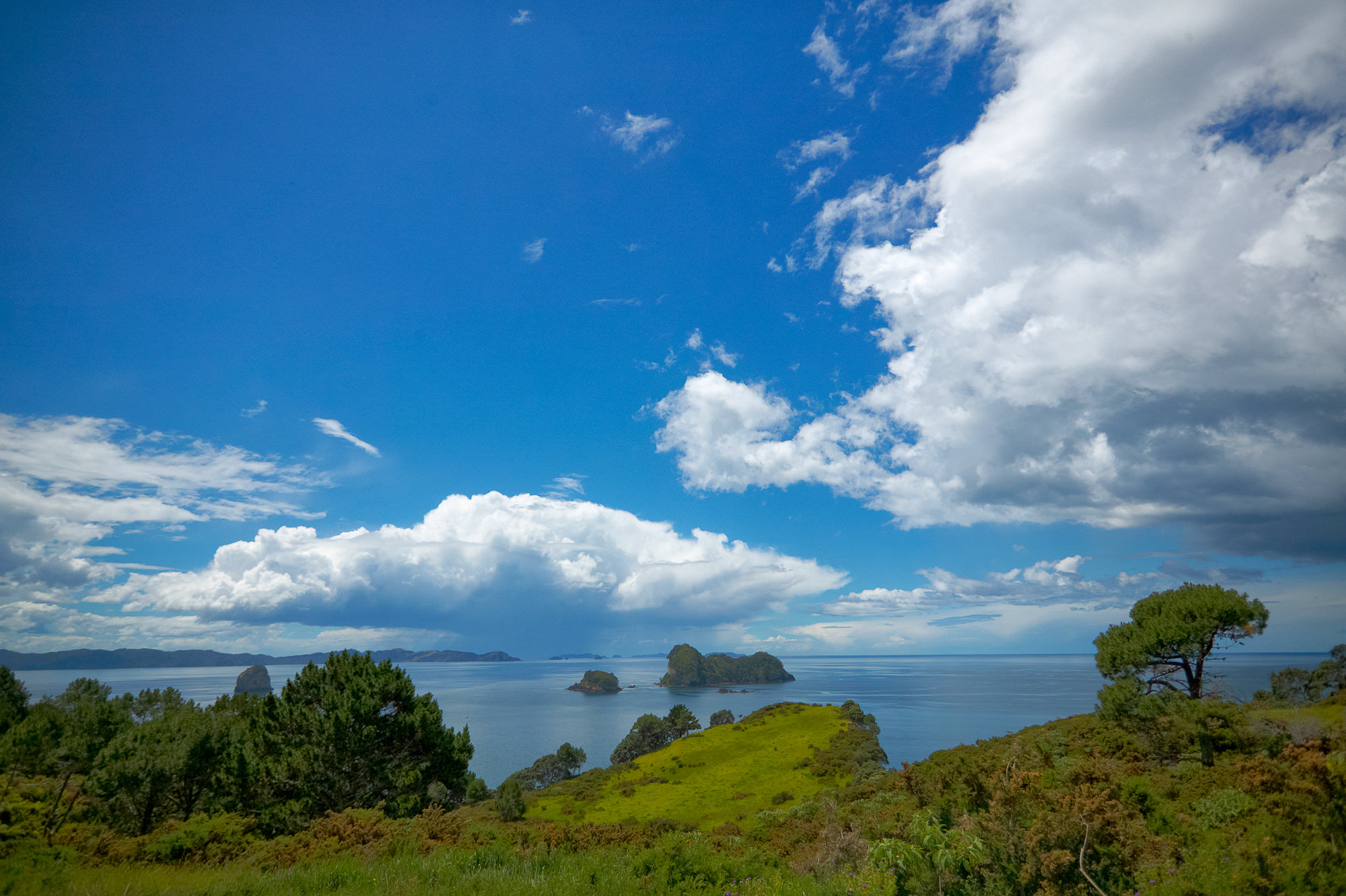 Coromandel Peninsula